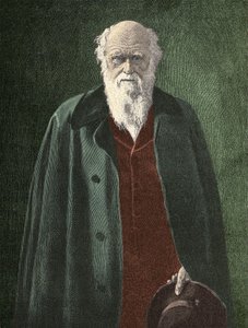 Portrait de Charles Darwin (1809 - 1882)