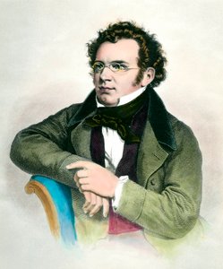 Portrait de Franz Schubert, compositeur autrichien. Gravure du XIXe siècle. Collection privée
