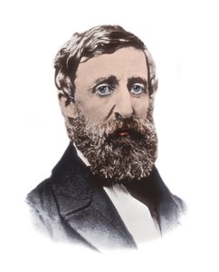 Portrait de Henry David Thoreau - Unknown artist