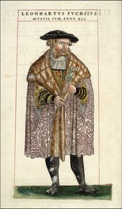Portrait de Leonhart Fuchs : botaniste - médecin allemand (1501 - 1566) - dans « De Historia Stirpium commentarii badges,... » par Leonhart Fuchs