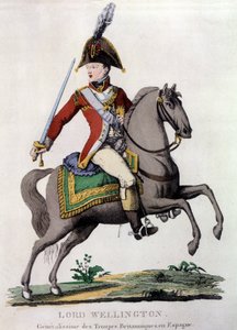 Portrait de Lord Wellington (1769-1852), général des troupes britanniques en Espagne