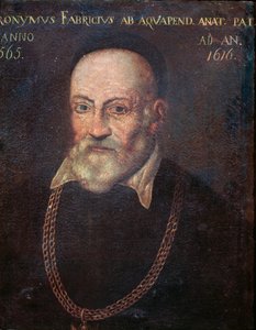 Portrait de l