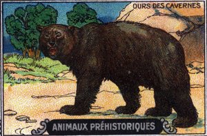 Animal préhistorique : un ours des cavernes.