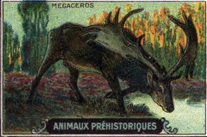 Animal préhistorique : un mégacéros.
