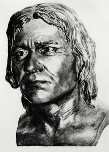 Préhistoire : reconstruction de l