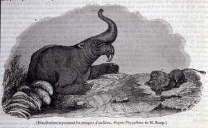 Préhistoire : représentation d