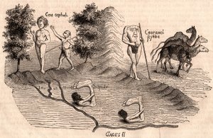 Représentation de tribus médiévales et d