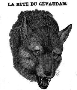 Représentation de la Bête du Gévaudan.