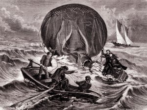 Sauvetage du bal Habs, monté par M. et Mme Durouf. Naufragé sur la côte d