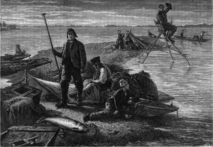 Retour de la pêche au saumon sur les rives du Rhin. Gravure dans le journal « La jeunesse » - Unknown artist