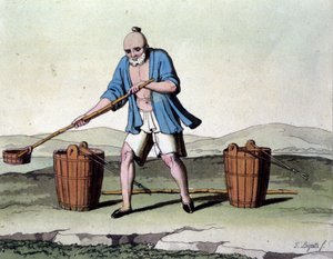 Culture du riz en Chine. Estampe du 19ème siècle