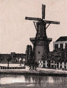 Rotterdam, Hollande : Moulin à vent néerlandais dans « Le Monde Illustré 168 vues » sans date (fin XIXe siècle)