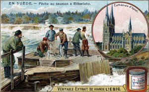Pêche au saumon à Elfkarleby, Suède. Chromolithographie, image Liebig.