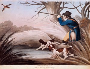 Scène de chasse au canard en Angleterre