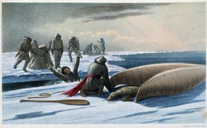Chasse au phoque : chasse au phoque dans le golfe - Unknown artist