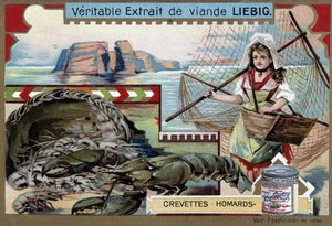 Crevettes et homards, avec une jeune pêcheuse, portant son panier et un grand filet - Chromolithographie Liebig
