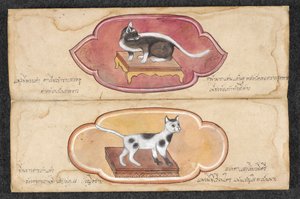 Chats siamois - Unknown artist