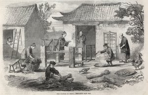 Production de soie en Chine et les différentes étapes de fabrication. - Unknown artist