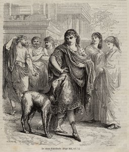 Le chien d