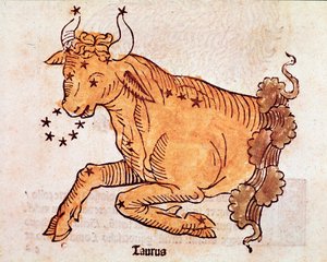 La constellation du Taureau (détail) de « Poeticon astronomicon » attribué à l