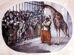 La foule curieuse se précipite pour voir une girafe derrière une porte. Lithographie de Danhaaren. 1829 - Unknown artist