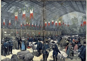 Le concours général agricole de Paris - 14 mars - Unknown artist