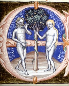 Le péché originel - Miniature