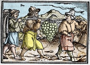 Le retour de Josué et Caleb avec une énorme grappe de raisin du pays de Canaan (Terre Promise). Chronique par Johann Stumpff "Den edlen strucen besten fromen"