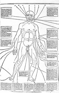 Cette image montre les endroits du corps pour pratiquer la saignée selon la douleur. Traité de Médecine par Gerolamo Cardano (Cardanus Hieronymus), Florence