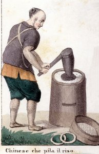 Un chinois qui pille le riz - dans Il costume universale di tutti i popoli del mondo - Unknown artist