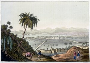 Vue de Mexico, Mexique. Dans « Le costume ancien et moderne »