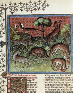 Nous mottons le loup et toute sa nature. Miniature de Gaston Phoebus dit Gaston III Comte De Foix - Unknown artist