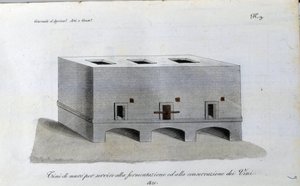 Cuve de fermentation du vin. Planche tirée de « Giornale dell