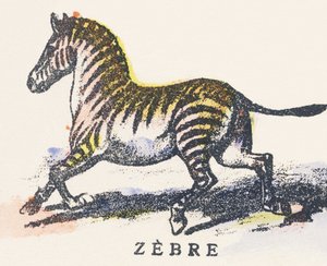Z : zèbre - Unknown artist