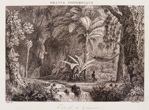 Gravure représentant la colonie française de Guyane en Amérique du Sud 1850 - Unknown artist