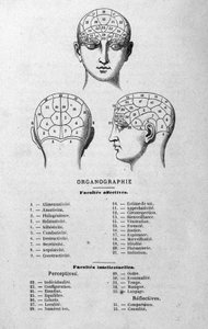 Illustration du livre de Charles Rouvin de 1873 Organographie La Tête humaine, études illustrées de phrénologie et de physionomie appliquées à des personnages célèbres Paris 1873