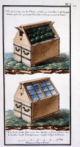 1. Vue de la boîte avec des plantes emballées, et treillis métallique sur le dessus : pour les protéger des accidents en leur fournissant de l