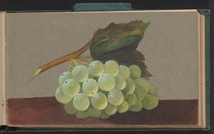 Une grappe de raisins