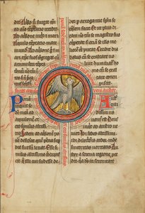 Un faucon dans une croix