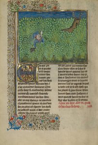 Un chasseur et un chien en train de pister dans un fourré - Unknown artist