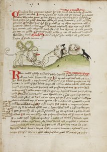 Un lion et un autre lion avec une souris - Unknown artist
