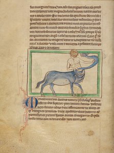 A Monocentaure - Unknown artist