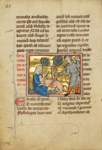 Une licorne avec la tête sur les genoux d