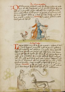 Une femme avec un vase et une poule ; un singe instruisant un renard et un loup