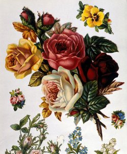 Un bouquet de roses. Chromolithographie du 19ème siècle. - Unknown artist