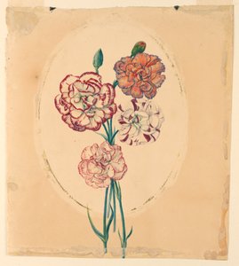Un bouquet de quatre œillets - Unknown artist