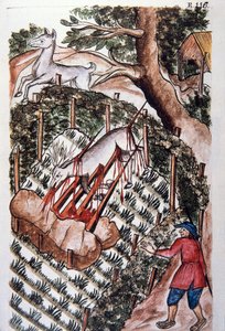 Un cerf tombe dans le piège des chasseurs, du livre "Trujillo del Peru" ou "Códice Martínez Compañón", par Baltazar Martinez Compañón y Bujanda, évêque de Trujillo (1782-1785)