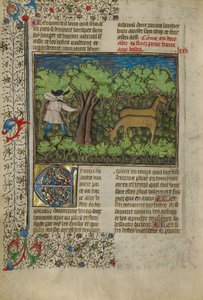 Un archer tirant sur un cerf - Unknown artist