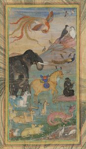 Animaux et oiseaux