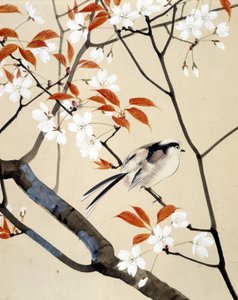 Oiseau et cerisier en fleurs - Dessin japonais par Riou Chim, fin du 19e siècle - Unknown artist